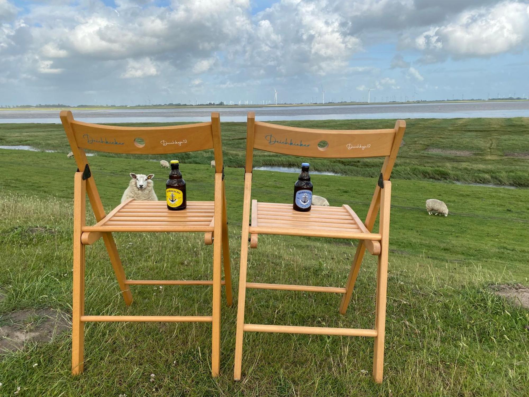Deichkoje12 Direkt Am Eiderdeich Nur 7 Km Bis Zur Nordsee Und 20 Min Bis Sankt Peter Ording Tönning Exterior foto